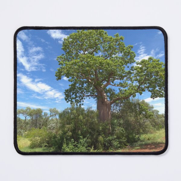 Item preview, Baobab de Kimberley designed and sold by Elliot62.