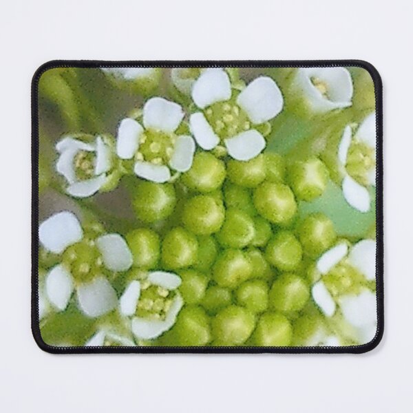 Item preview, Flowers micro balls designed and sold by Academic Art Studio.