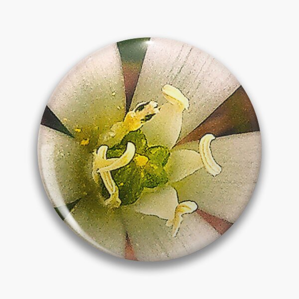Item preview, Flower sun designed and sold by Academic Art Studio.