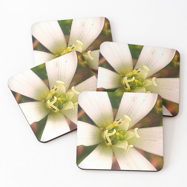 Item preview, Flower sun designed and sold by Academic Art Studio.