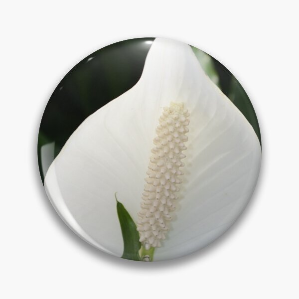 Item preview, Peace Lily designed and sold by MercerImages.