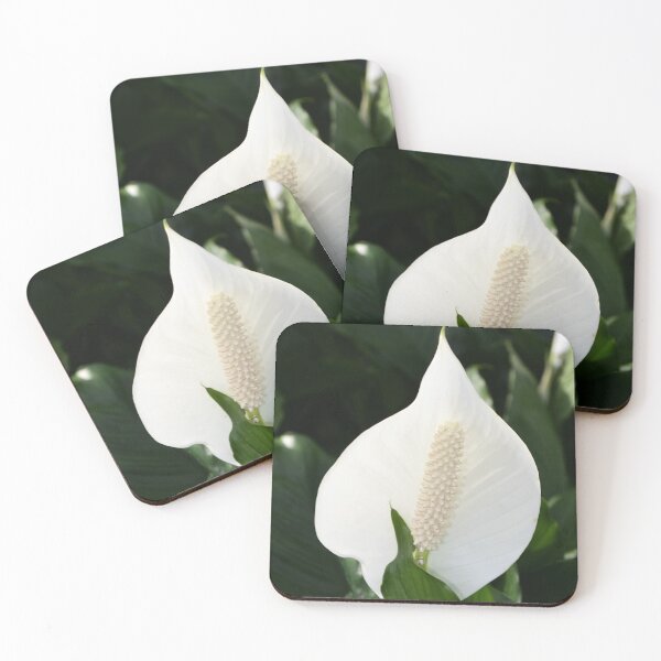Item preview, Peace Lily designed and sold by MercerImages.