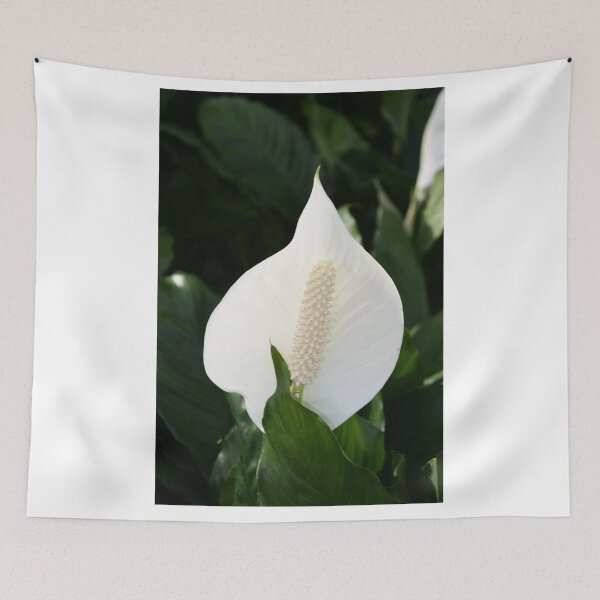 Item preview, Peace Lily designed and sold by MercerImages.