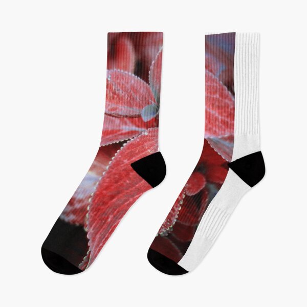 Item preview, Vivid Red Foliage Nature Art designed and sold by NickDedidis.