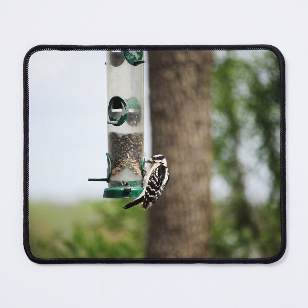 Item preview, Downy Woodpecker designed and sold by Cynthia48.