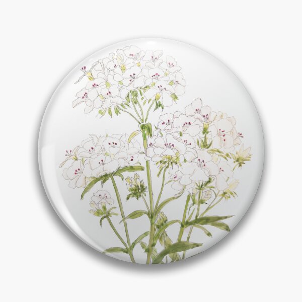 Item preview, hand painted hand painted white sweet William  ink and watercolor painting designed and sold by ColorandColor.