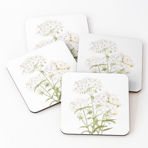Item preview, hand painted hand painted white sweet William  ink and watercolor painting designed and sold by ColorandColor.