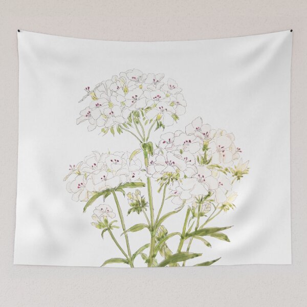 Item preview, hand painted hand painted white sweet William  ink and watercolor painting designed and sold by ColorandColor.