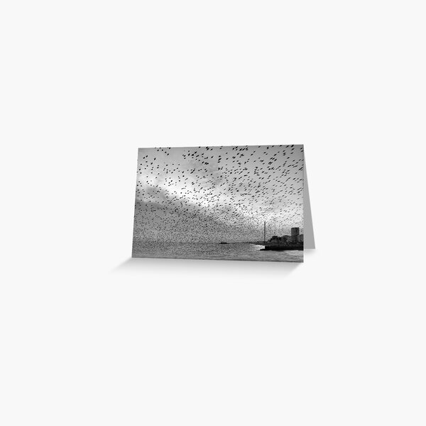 Starlings over West Pier Greeting Card