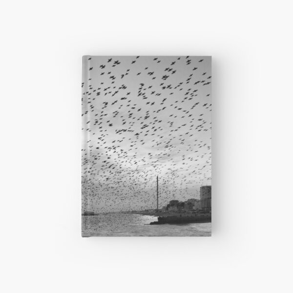 Starlings over West Pier Hardcover Journal