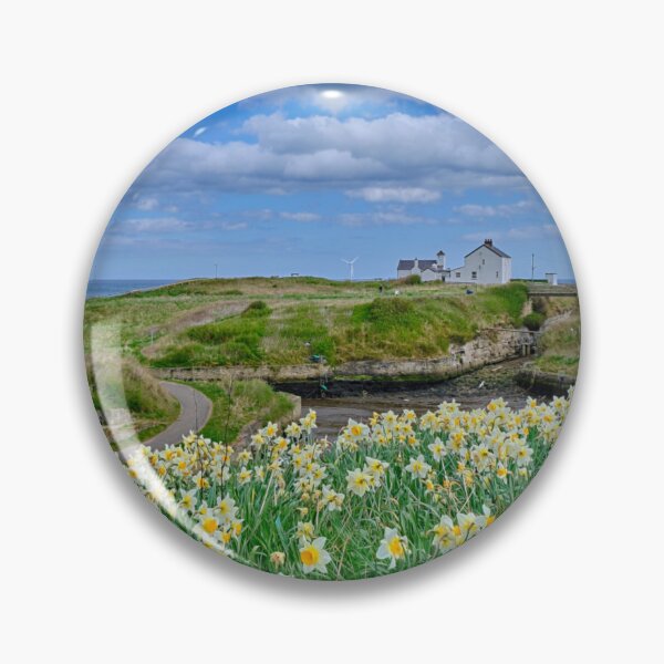 Item preview, Seaton Sluice Harbour Daffodils designed and sold by Violaman.