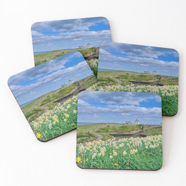 Item preview, Seaton Sluice Harbour Daffodils designed and sold by Violaman.