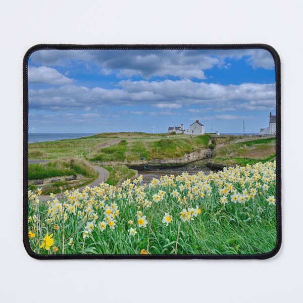 Item preview, Seaton Sluice Harbour Daffodils designed and sold by Violaman.