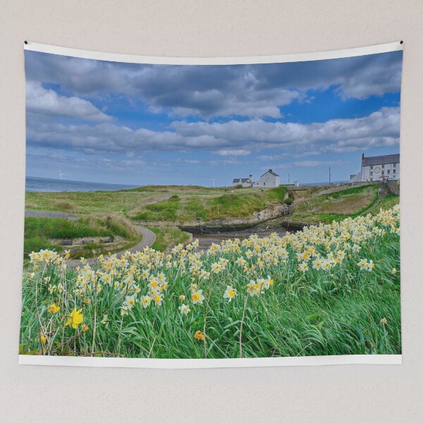 Item preview, Seaton Sluice Harbour Daffodils designed and sold by Violaman.