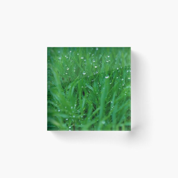 Item preview, Wet Blades of Grass designed and sold by Sadia  Jannat.