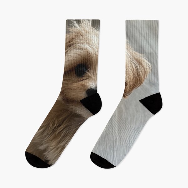 Item preview, Fluffy puppy sitting inside designed and sold by anytka.