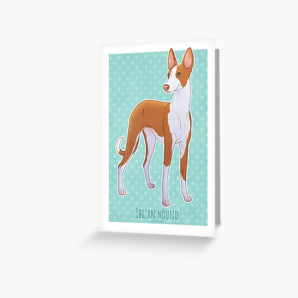 Ibizan Hound - Podenco Ibicenco Greeting Card