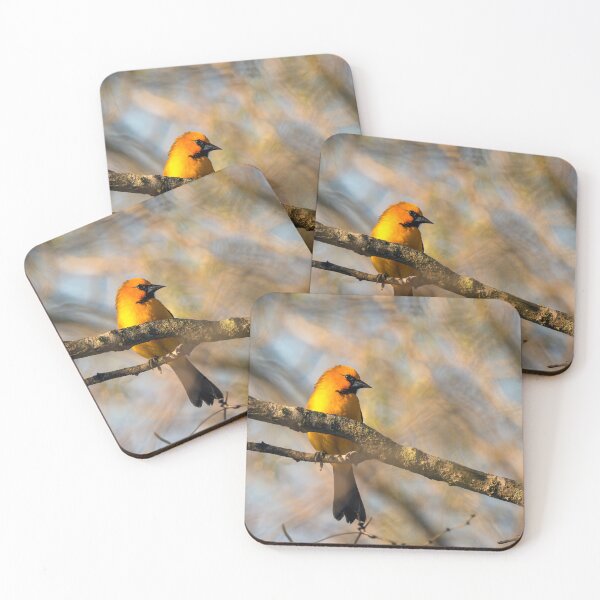 Item preview, Altamira Oriole Profile designed and sold by Debra Martz.