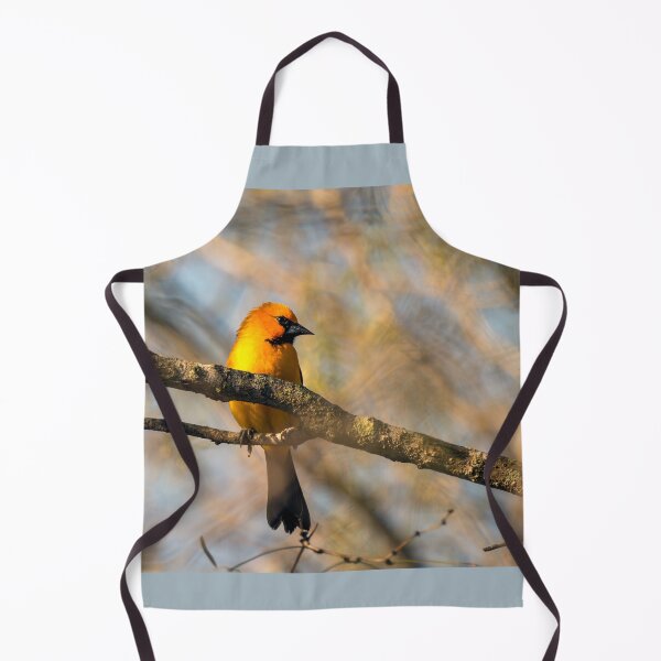 Item preview, Altamira Oriole Profile designed and sold by Debra Martz.
