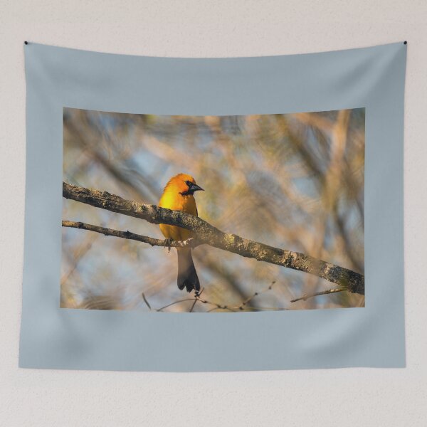 Item preview, Altamira Oriole Profile designed and sold by Debra Martz.