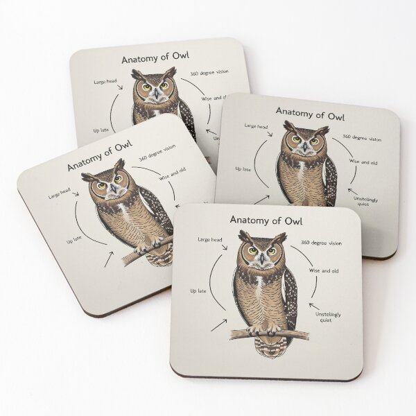 Item preview, Anatomy of a Owl designed and sold by Vintage Designs +.