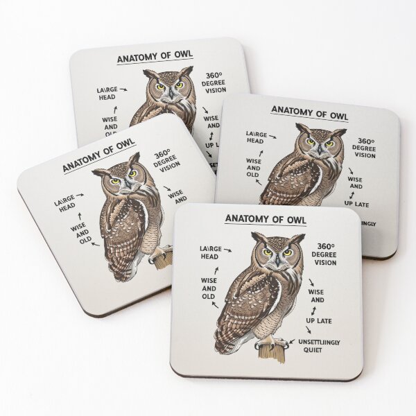 Item preview,  Anatomy of a Owl designed and sold by Vintage Designs +.