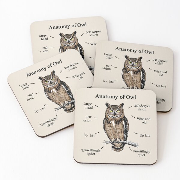 Item preview,  Anatomy of a Owl designed and sold by Vintage Designs +.