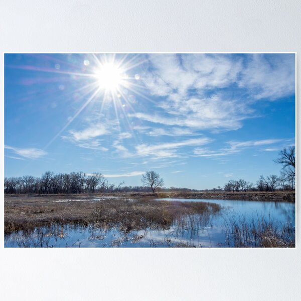 Item preview, Winter Wetlands at Salt Plains National Wildlife Refuge designed and sold by Debra Martz.