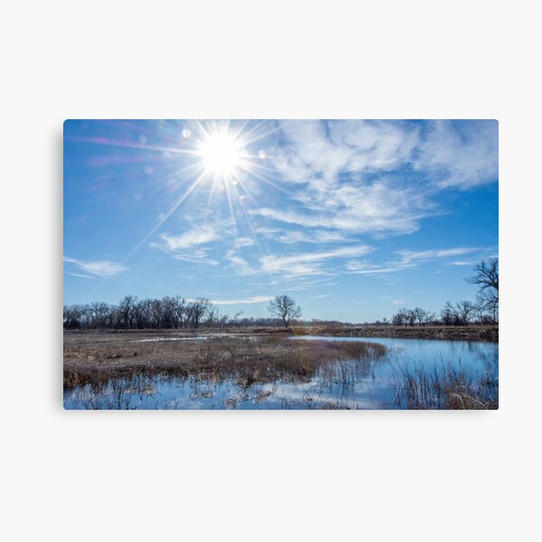 Item preview, Winter Wetlands at Salt Plains National Wildlife Refuge designed and sold by Debra Martz.