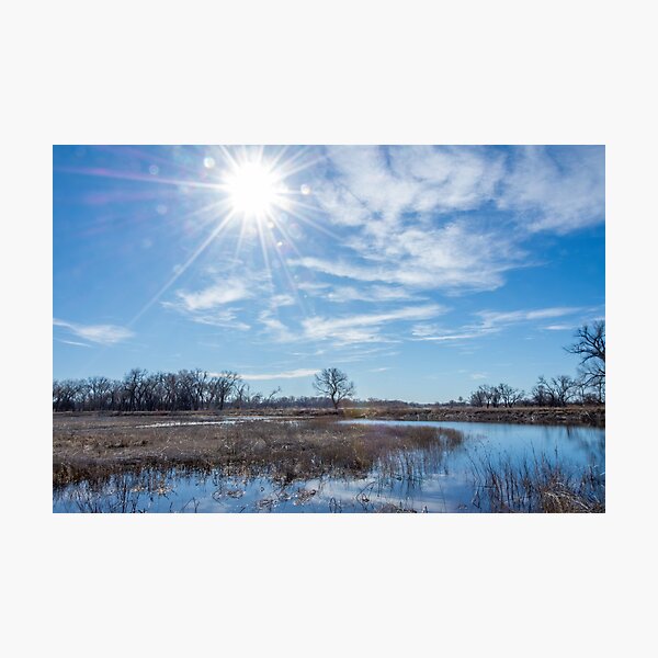 Item preview, Winter Wetlands at Salt Plains National Wildlife Refuge designed and sold by Debra Martz.