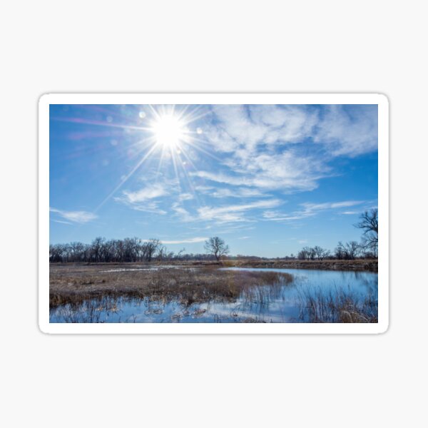 Item preview, Winter Wetlands at Salt Plains National Wildlife Refuge designed and sold by Debra Martz.