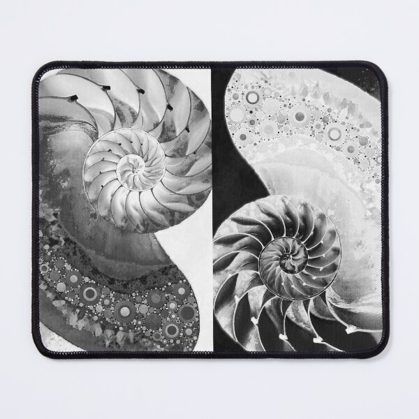 Item preview, Duality Nautilus Black And White Shell Art designed and sold by Sharon Cummings Art.