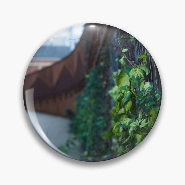 Item preview, Vines designed and sold by HTHphotography.