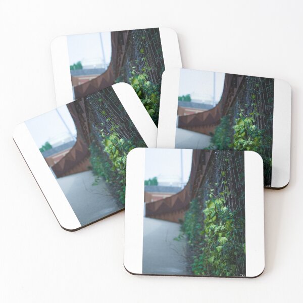 Item preview, Vines designed and sold by HTHphotography.