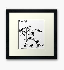 Darwin's Tree of Life Framed Print