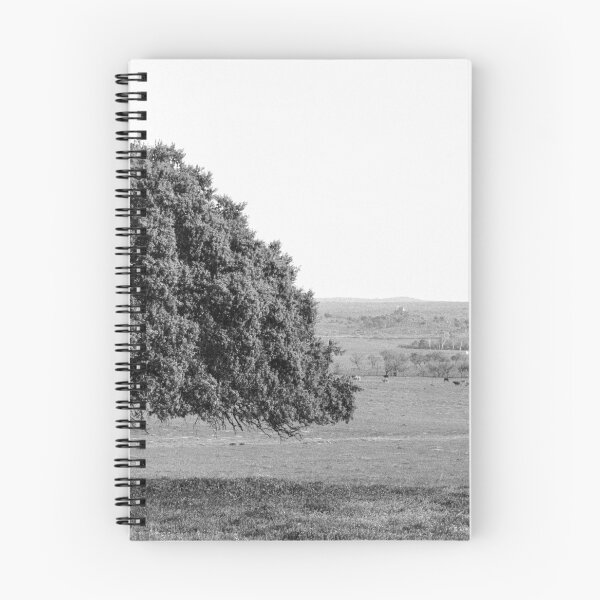 Item preview, Fields of Extremadura designed and sold by Rafael López.