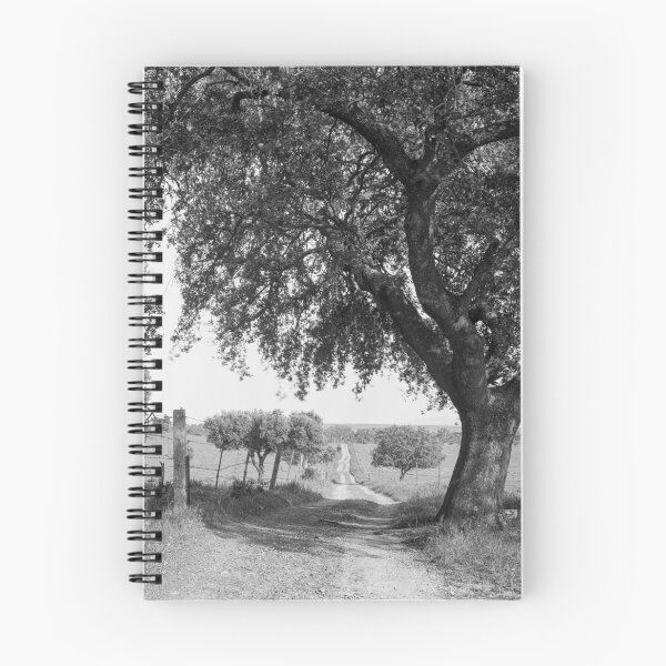 Aperçu de l'œuvre Chemin dans le pâturage créée et vendue par Rafael López.