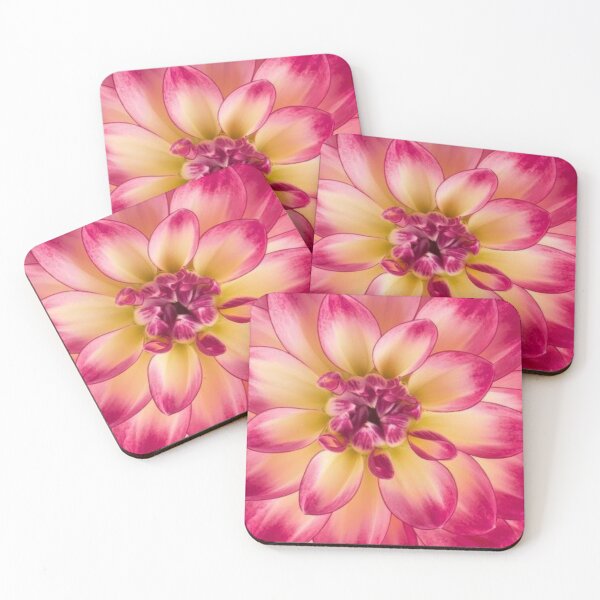Item preview, Bloom Alchemy – Heart of Color designed and sold by coconova.
