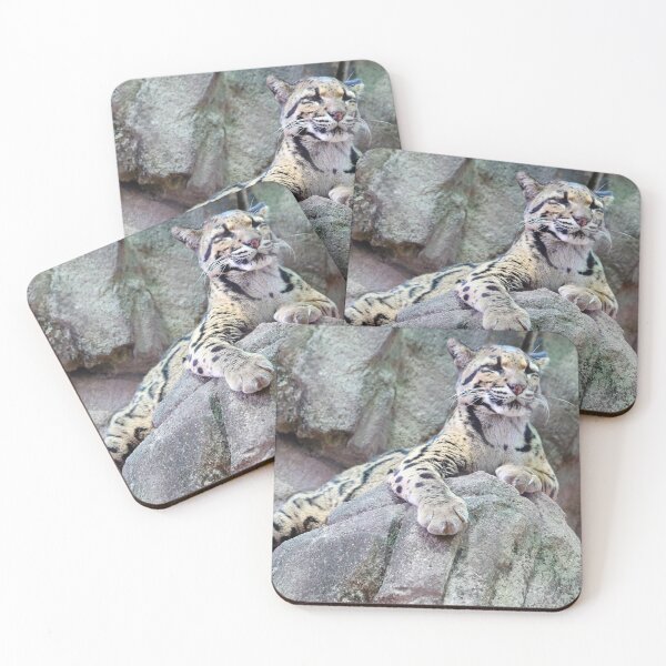 Item preview, Observing designed and sold by Olivia Plasencia.