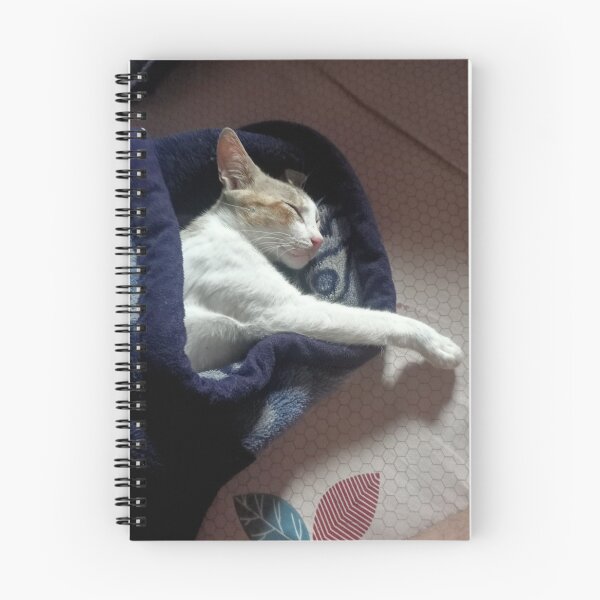 Item preview, Sleeping cat designed and sold by Miss.Sri's Art.