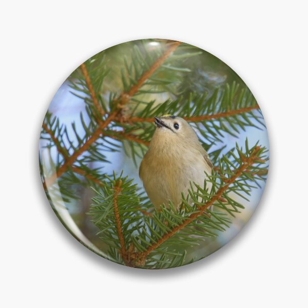 Item preview, Minimal regulus. Goldcrest designed and sold by Jouko Lehto Photography.