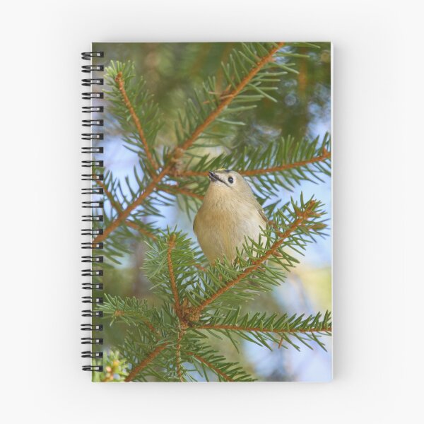 Item preview, Minimal regulus. Goldcrest designed and sold by Jouko Lehto Photography.