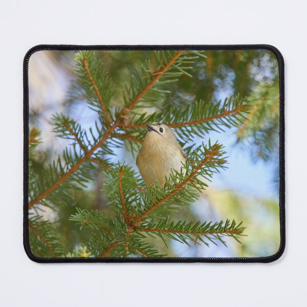 Item preview, Minimal regulus. Goldcrest designed and sold by Jouko Lehto Photography.