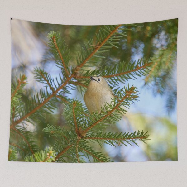 Item preview, Minimal regulus. Goldcrest designed and sold by Jouko Lehto Photography.