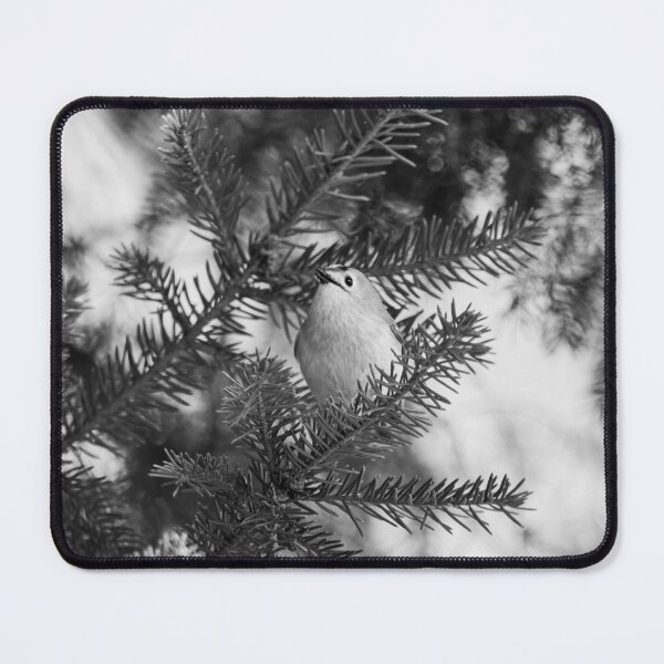 Item preview, Minimal regulus. Goldcrest bw designed and sold by Jouko Lehto Photography.