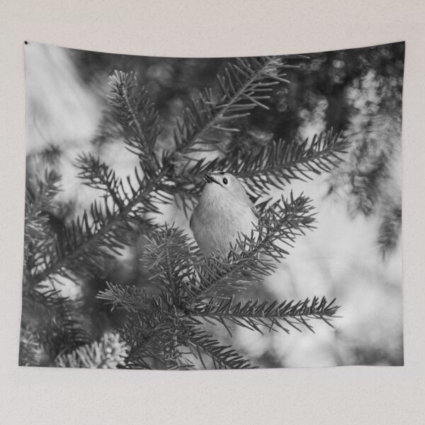 Item preview, Minimal regulus. Goldcrest bw designed and sold by Jouko Lehto Photography.