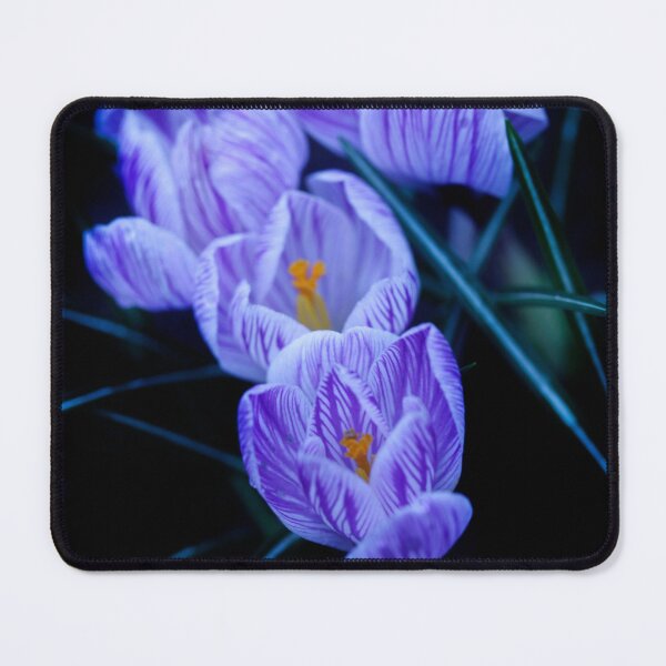 Item preview, Violet spring flowers on nature background designed and sold by olena2552.