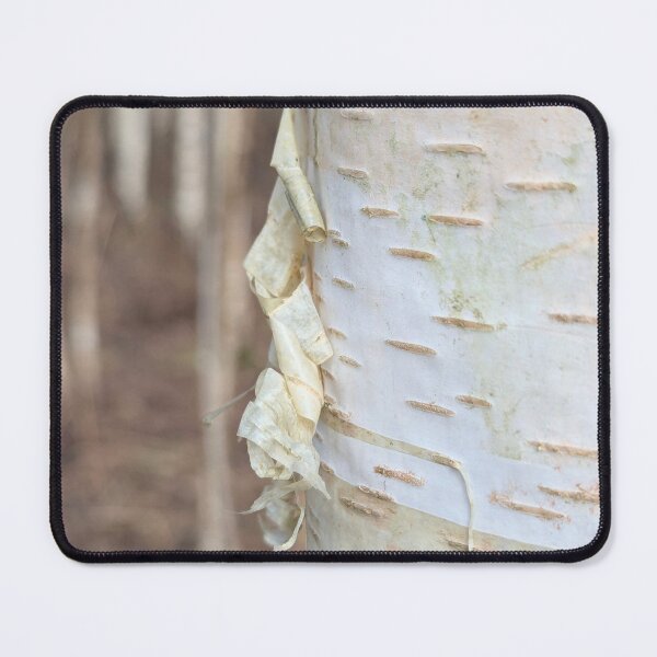 Item preview, Silver Birch Bark Curl in the Forest  designed and sold by Page Photography.