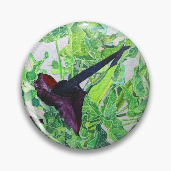 Item preview, Solomon's Lily, the black Arum Lily designed and sold by Melvyn Kahan.