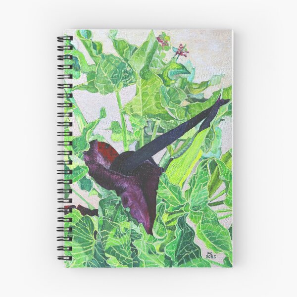 Item preview, Solomon's Lily, the black Arum Lily designed and sold by Melvyn Kahan.